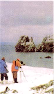 管惟炎-2.jpg (14806 bytes)