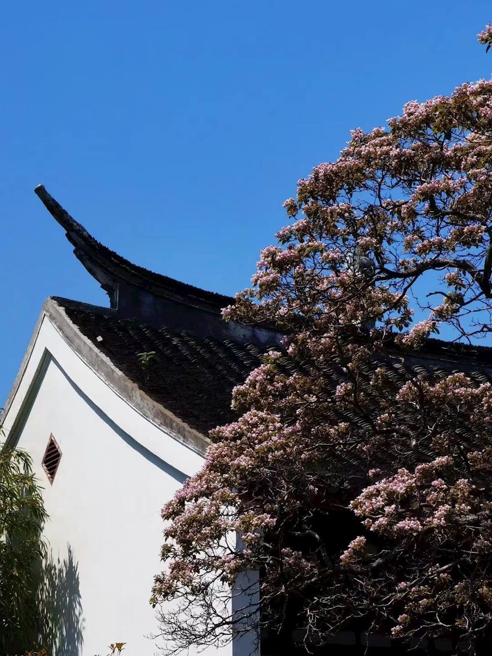 00c036248aa64c828955b8da0c2694b7.jpg 00c036248aa64c828955b8da0c2694b7.jpg