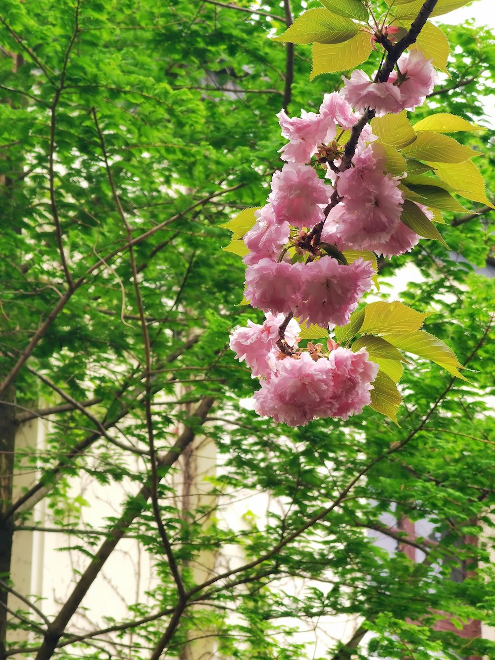 0c7f636fb85542b4bc302f1a4956030f.jpg 0c7f636fb85542b4bc302f1a4956030f.jpg