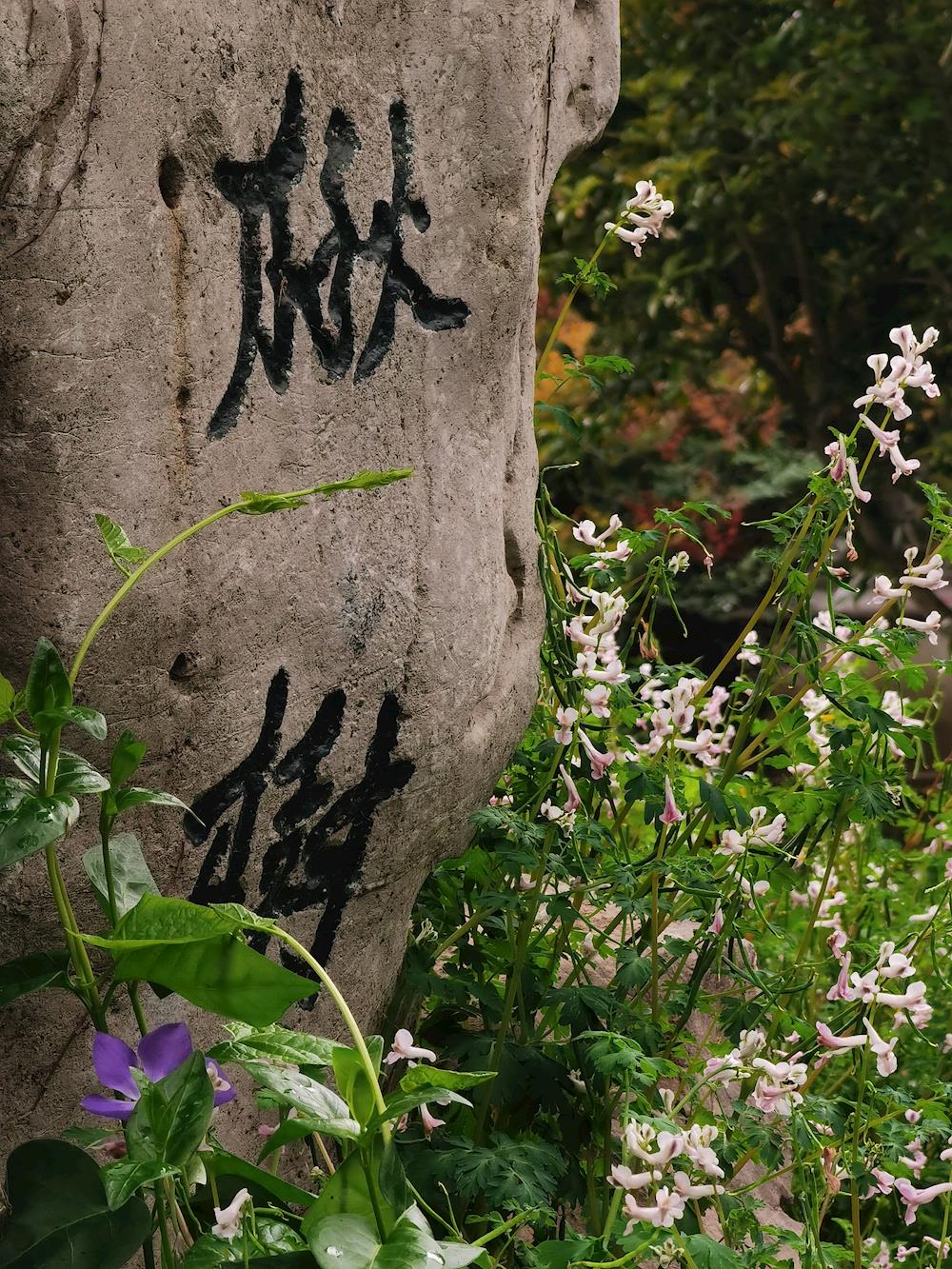 1e60888a069d4b6bbdc5c808fd381c8c.jpg 1e60888a069d4b6bbdc5c808fd381c8c.jpg