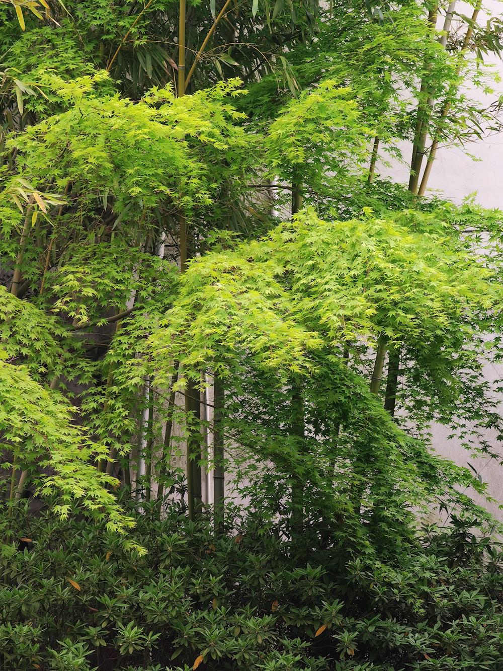 1e80efc52a5145e1b8840889ba2fc7fe.jpg 1e80efc52a5145e1b8840889ba2fc7fe.jpg