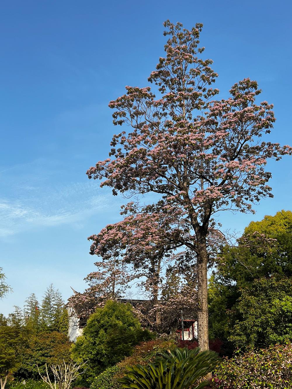 22a10cb8a64149daa0818ffa8d078953.jpg 22a10cb8a64149daa0818ffa8d078953.jpg