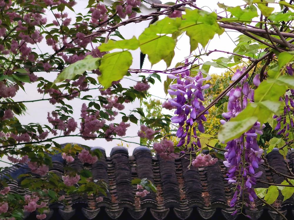 3075a65528e949ee9bbddf3c9ba998ba.jpg 3075a65528e949ee9bbddf3c9ba998ba.jpg