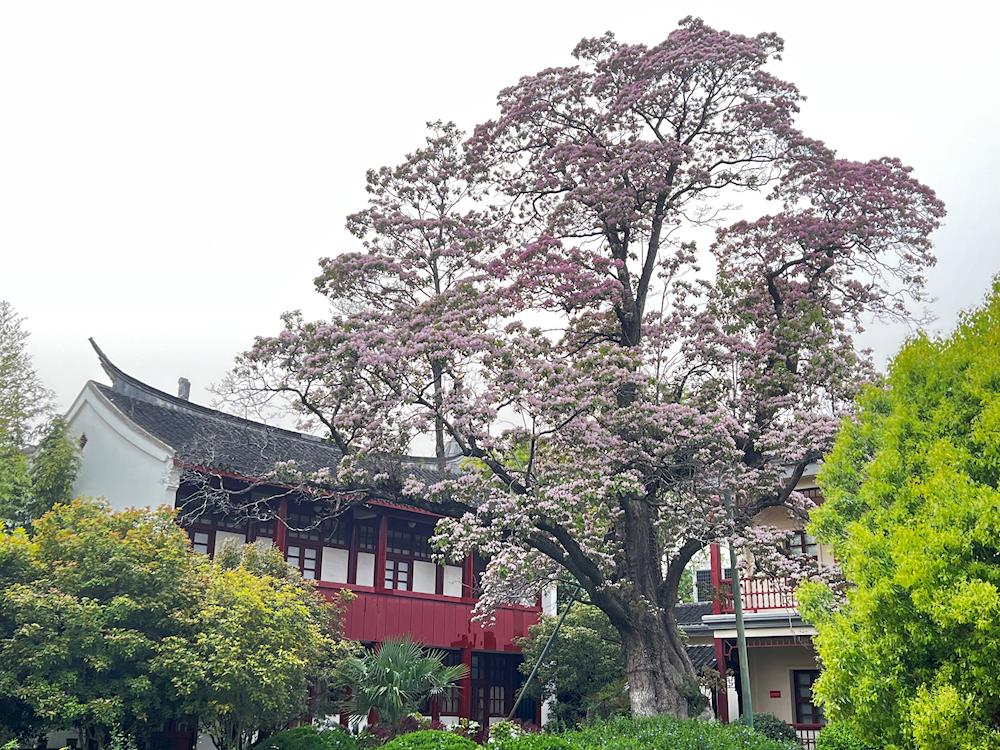 c9a4d80d9ff543d69b7eba09a18164ac.jpg c9a4d80d9ff543d69b7eba09a18164ac.jpg