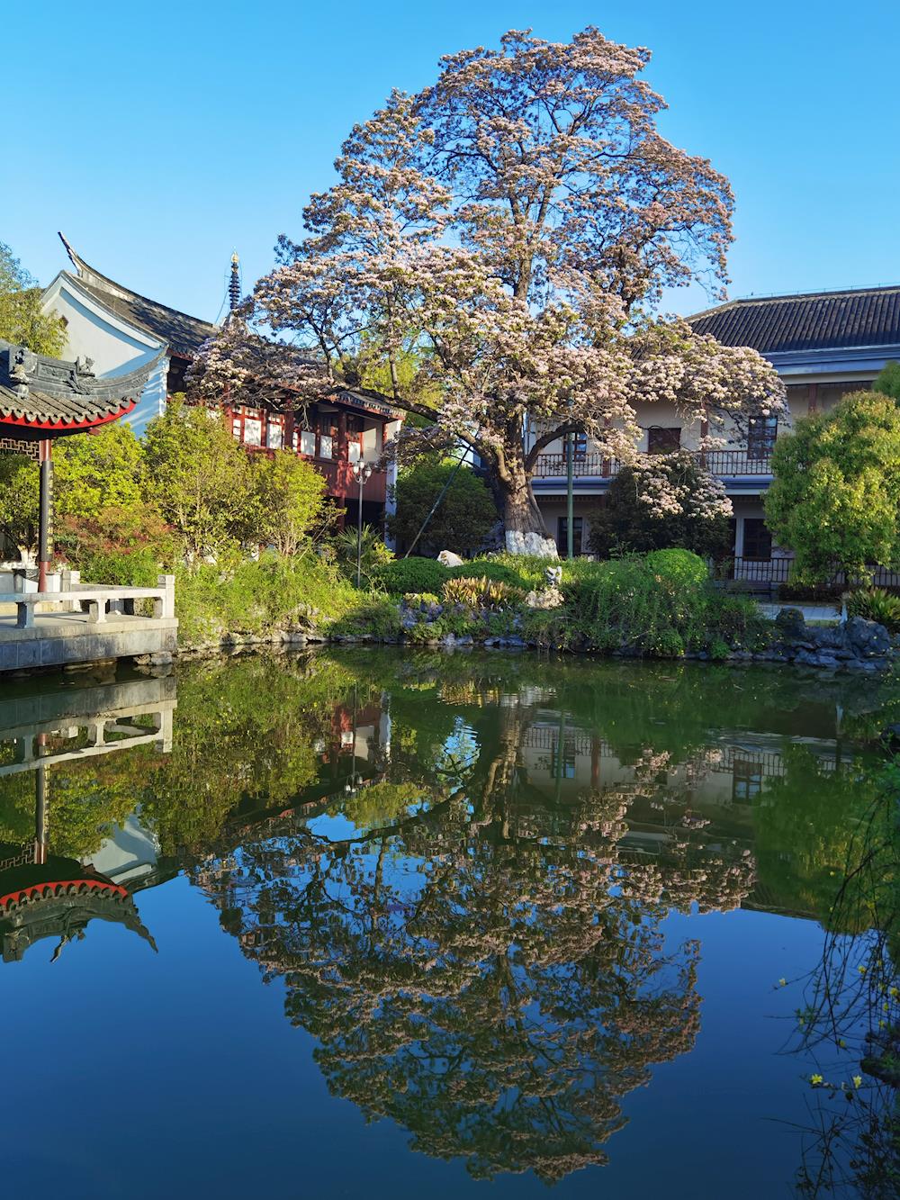 d0a78851de1941a79c7fd24dc2744c79.jpg d0a78851de1941a79c7fd24dc2744c79.jpg