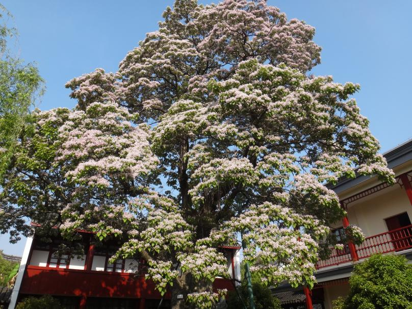 0f124bec66cd4e328c4f83db04dafd5f.png 0f124bec66cd4e328c4f83db04dafd5f.png