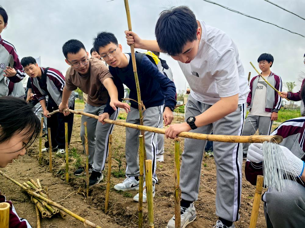 4afaff27ecbe4444b85c40622535edfa.jpg 4afaff27ecbe4444b85c40622535edfa.jpg