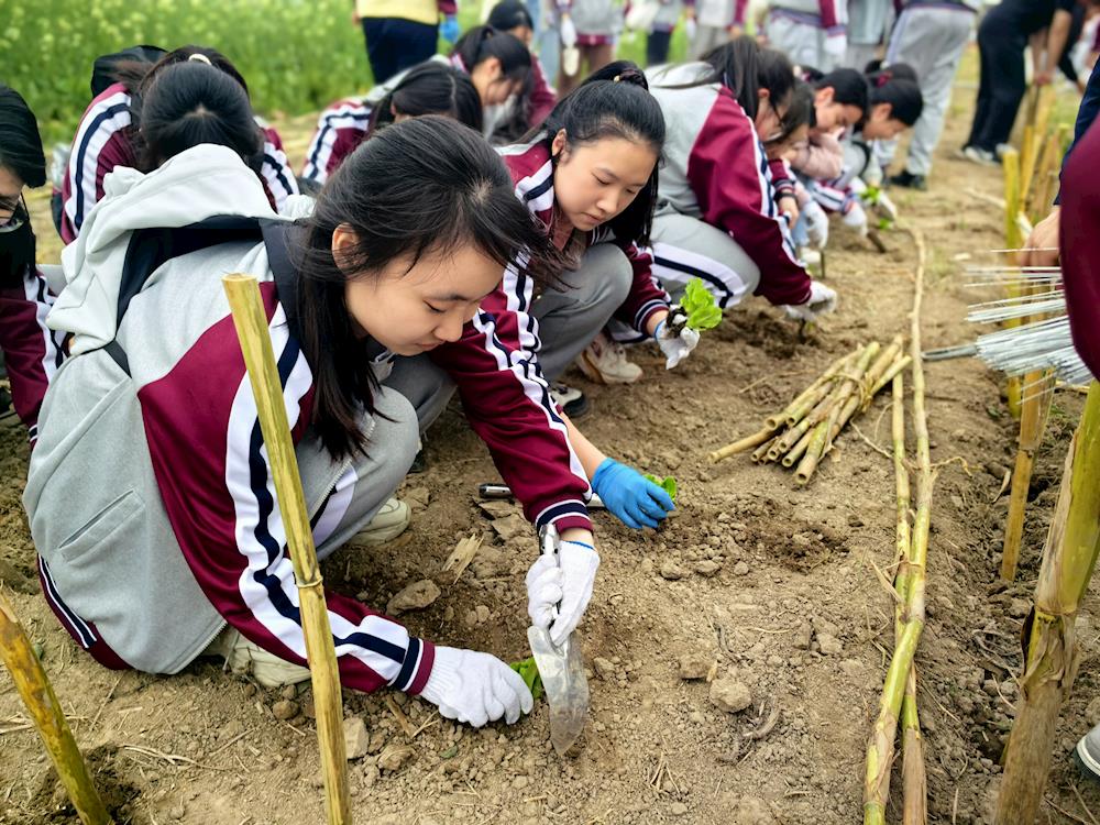 6c84cc8434d84c9380a598838c5b18ac.jpg 6c84cc8434d84c9380a598838c5b18ac.jpg