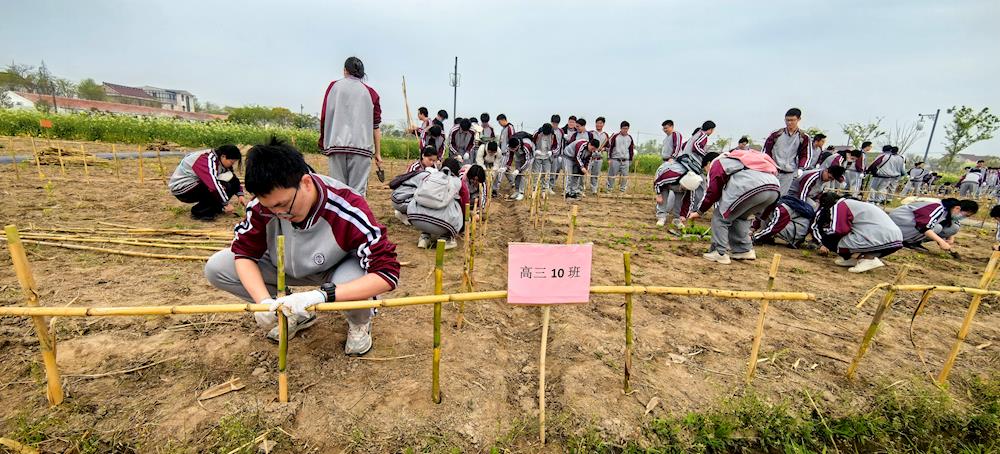 99ecb6db6d7a47669337eb1ca0169827.jpg 99ecb6db6d7a47669337eb1ca0169827.jpg