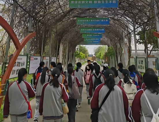 b3272e3c76894c31911644aa9012f4b5.png b3272e3c76894c31911644aa9012f4b5.png