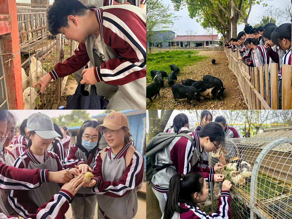 d4507cc80872496abd12752b145af9fb.jpg d4507cc80872496abd12752b145af9fb.jpg